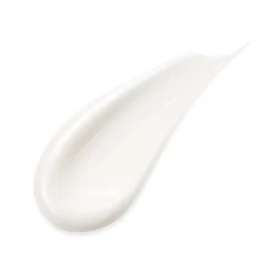 Sensai Crème De Jour>Absolute Silk Illuminative Cream