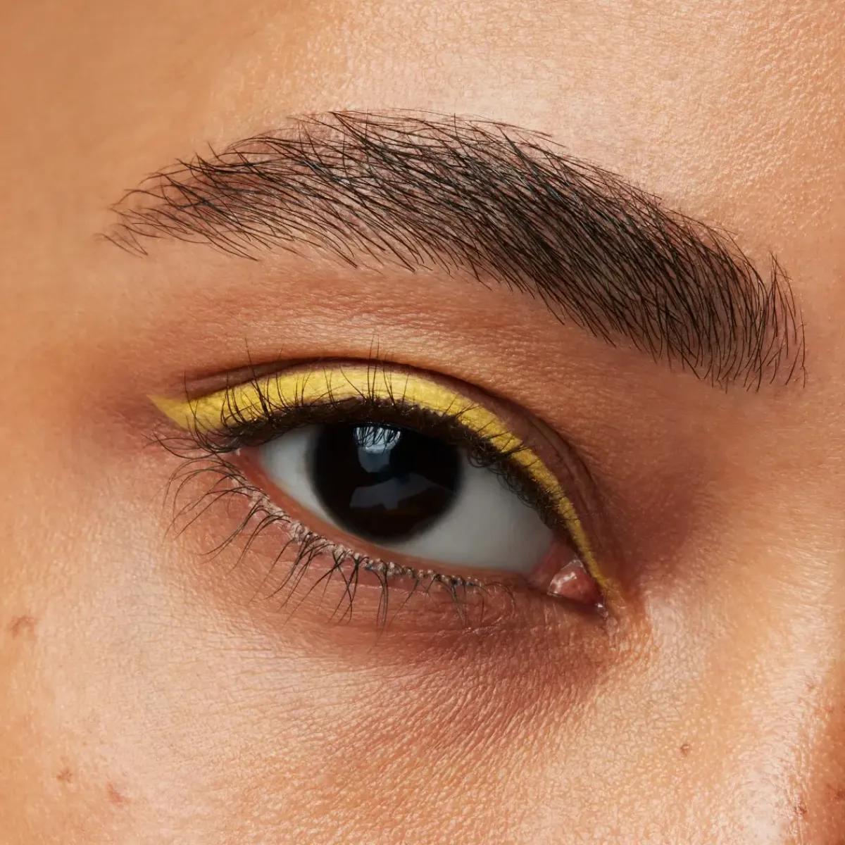 Shiseido Eyeliner>MicroLiner Ink