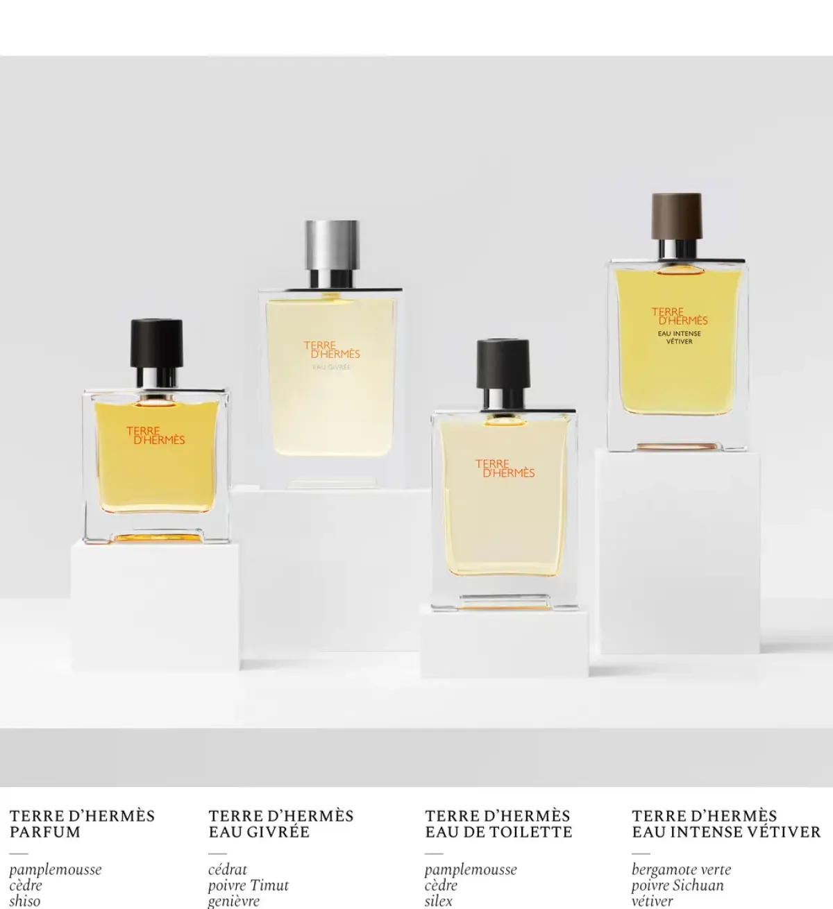 Hermès Parfums Frais>Terre d'Hermes Eau Givree Eau de Parfum Spray