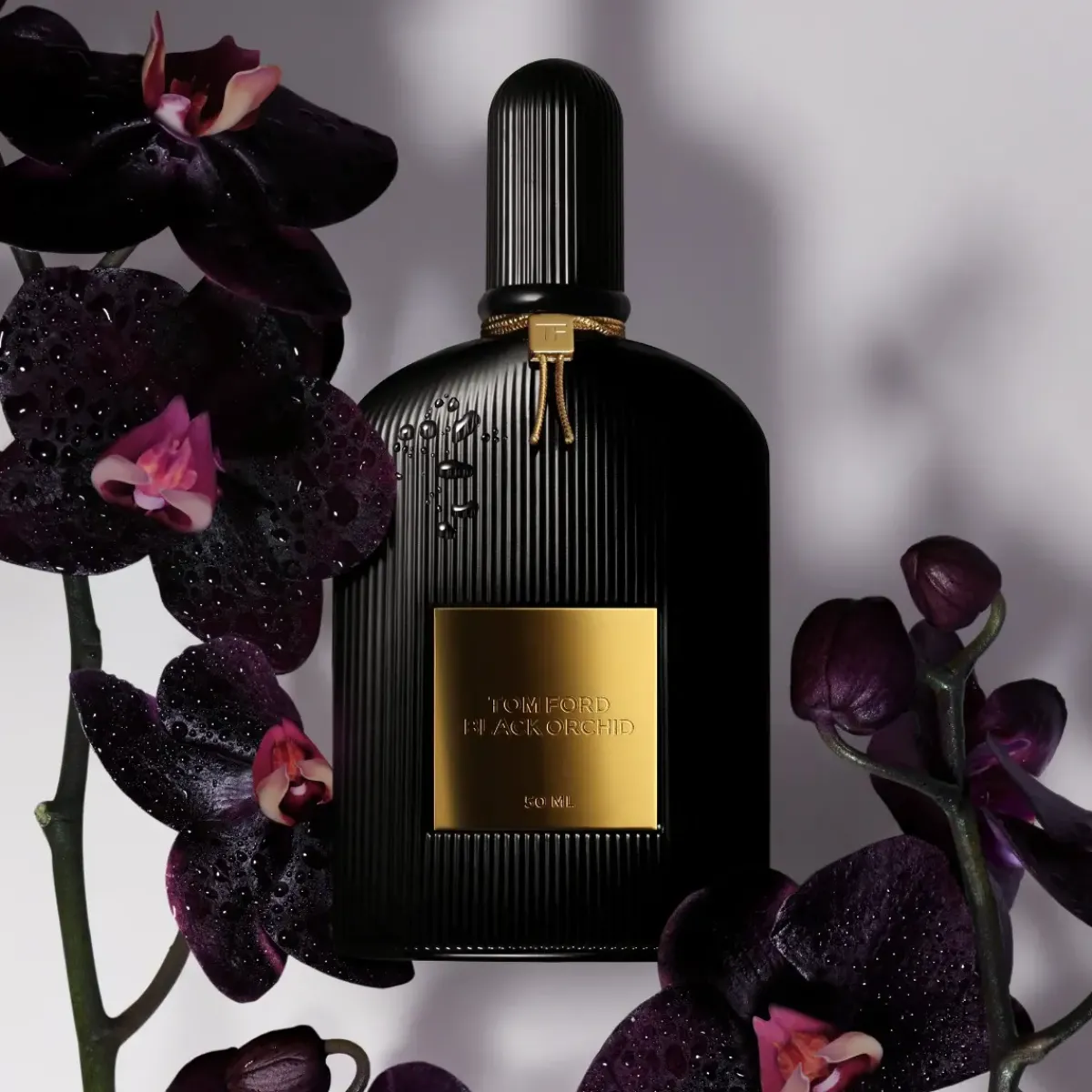 Tom Ford Parfums De Niche Pour Femmes|Parfums Épicés>Black Orchid Eau de Parfum Spray