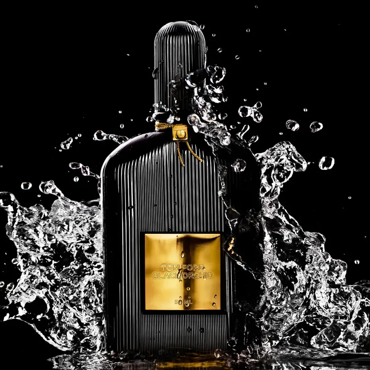 Tom Ford Parfums De Niche Pour Femmes|Parfums Épicés>Black Orchid Eau de Parfum Spray