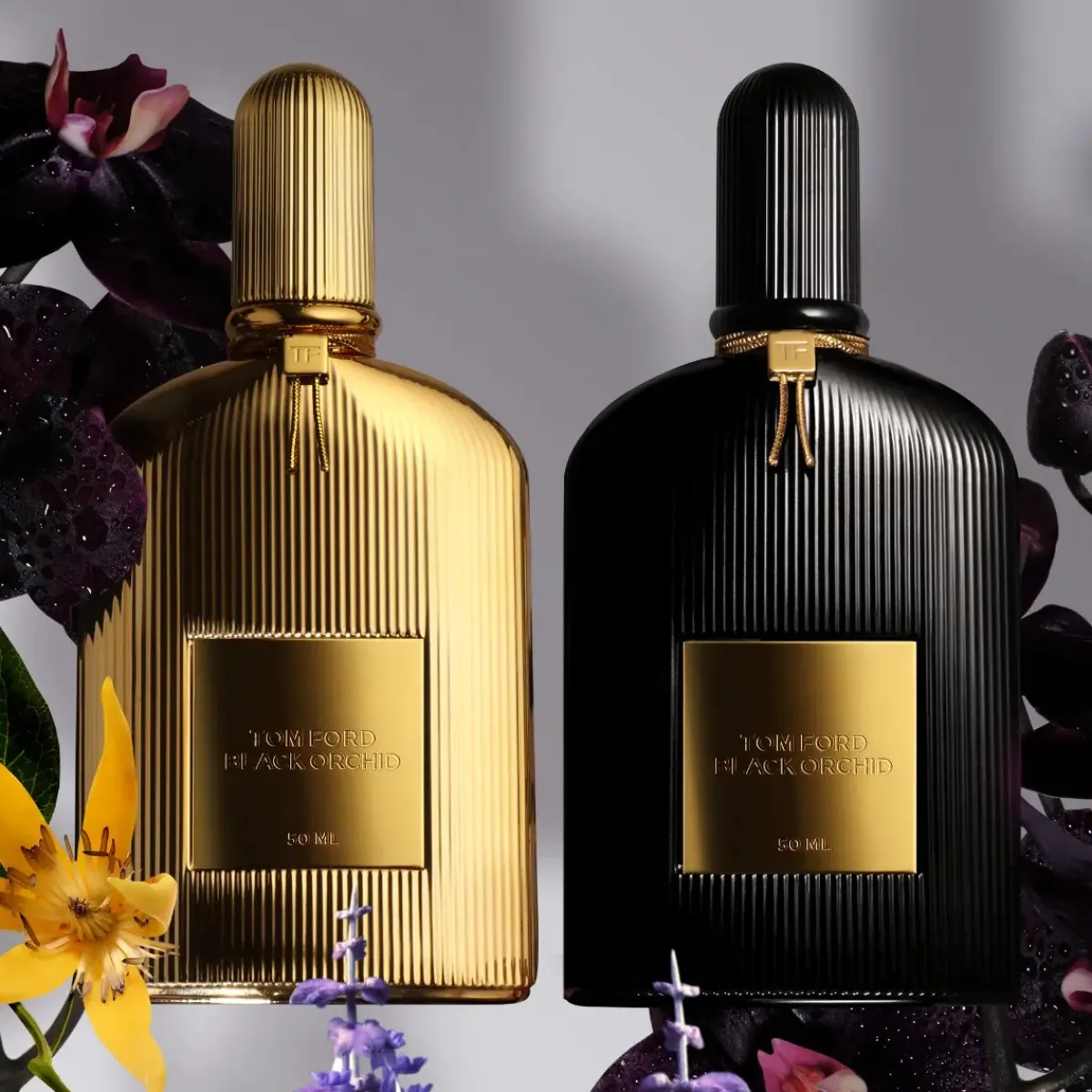 Tom Ford Parfums De Niche Pour Femmes|Parfums Épicés>Black Orchid Eau de Parfum Spray