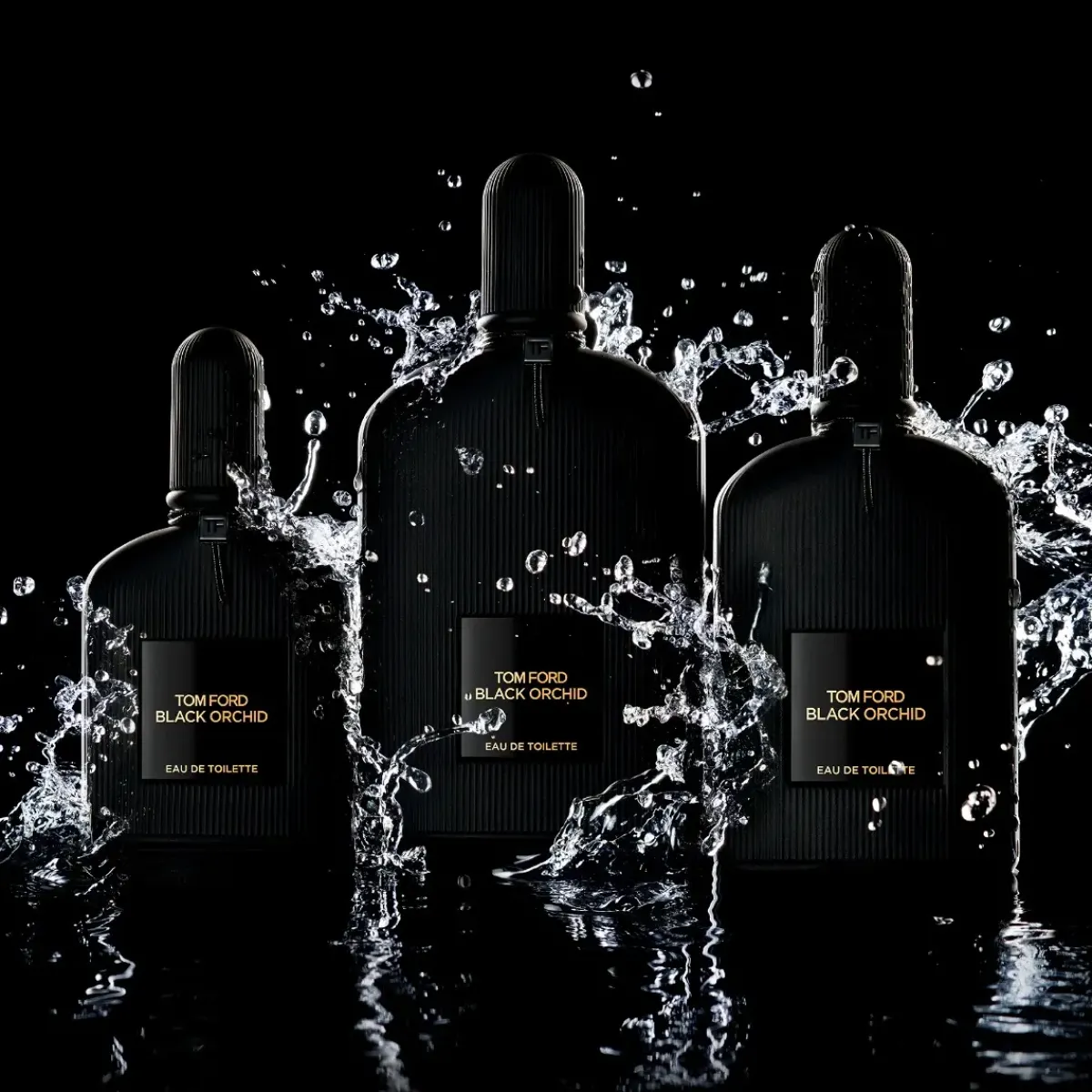 Tom Ford Parfums Épicés|Parfums Floraux>Black Orchid Eau de Toilette Spray