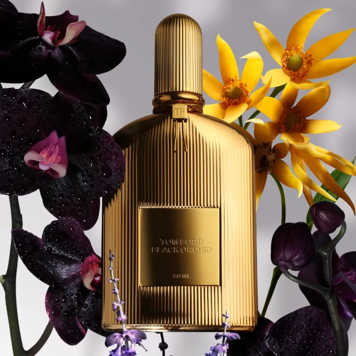 Tom Ford Parfums De Niche Pour Hommes|Parfums Épicés>Black Orchid Parfum spray