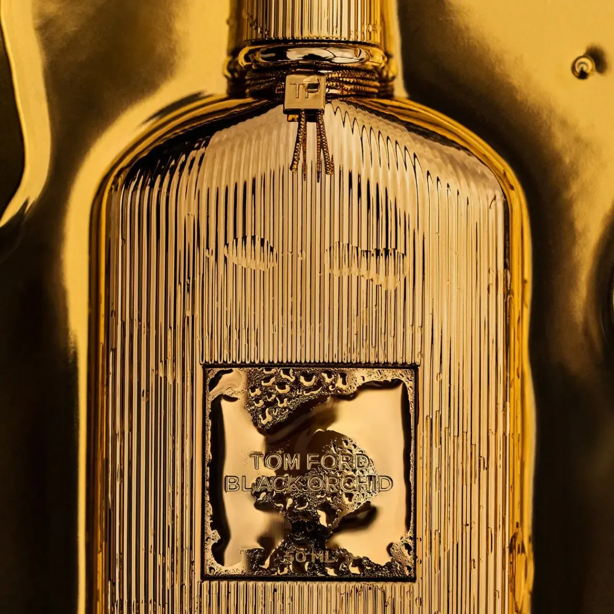 Tom Ford Parfums De Niche Pour Hommes|Parfums Épicés>Black Orchid Parfum spray