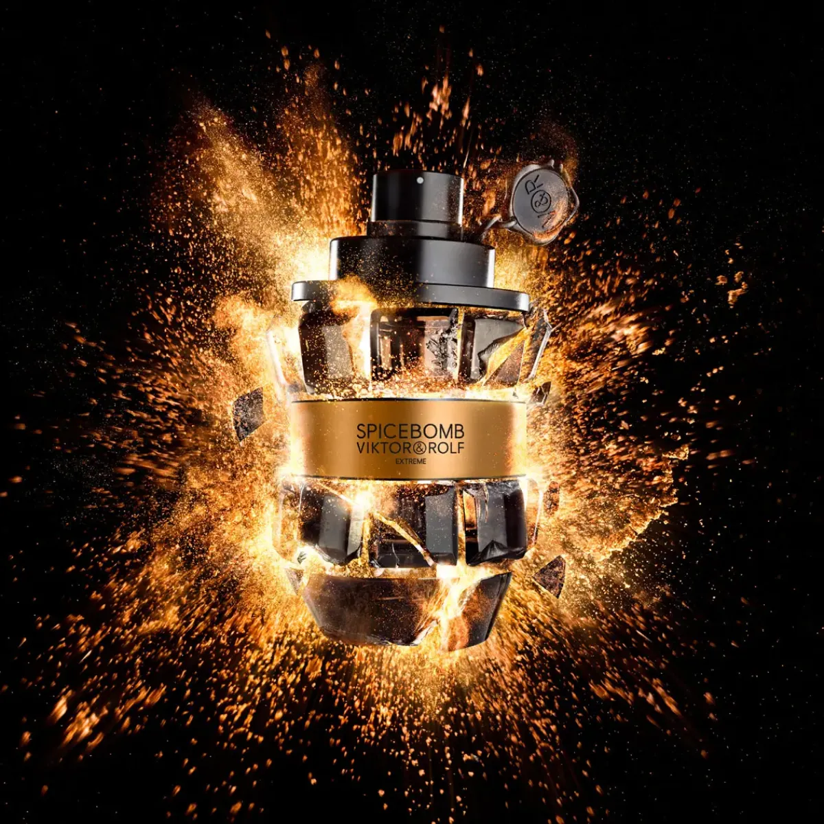 Viktor & Rolf Parfums Épicés|Top 10>Spicebomb Extreme Eau de Parfum Spray