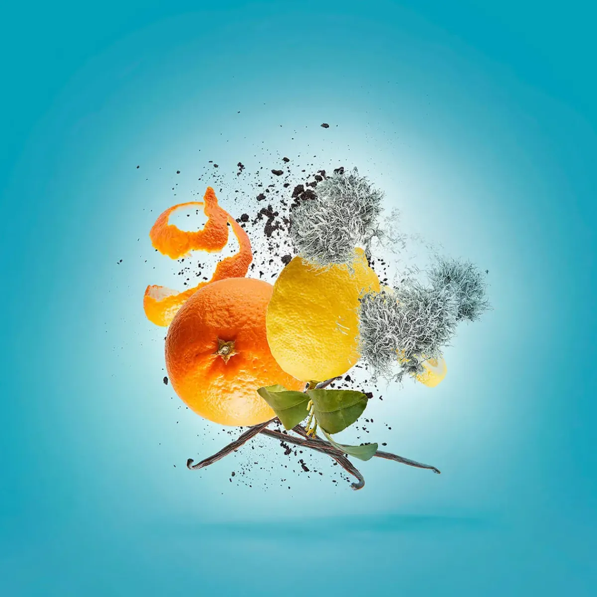 Xerjoff Parfums Épicés>Erba Pura Eau de Parfum Spray