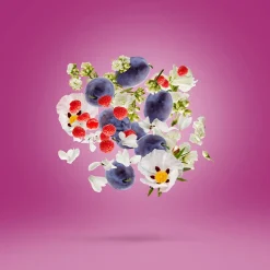 Xerjoff Parfums Floraux><noscript><img width=