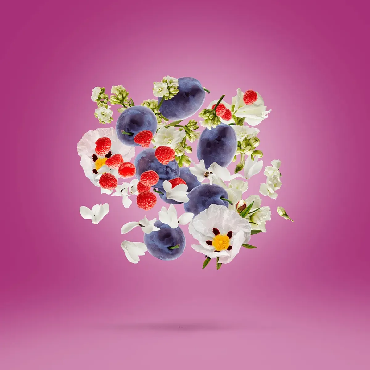 Xerjoff Parfums Floraux>Muse Eau de Parfum