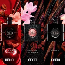 Yves Saint Laurent Parfums Épicés|Parfums Floraux><noscript><img width=