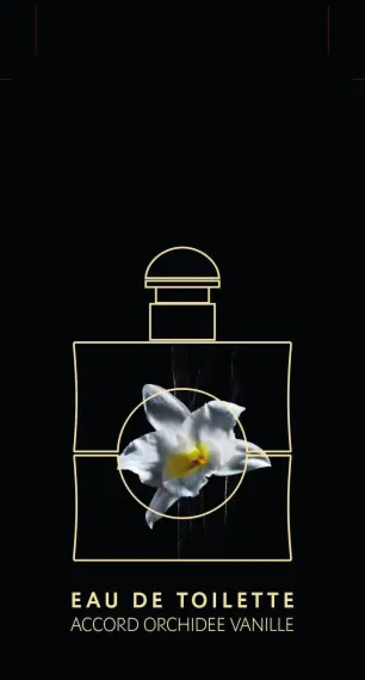 Yves Saint Laurent Parfums Épicés|Parfums Frais>Opium Eau de Toilette Spray