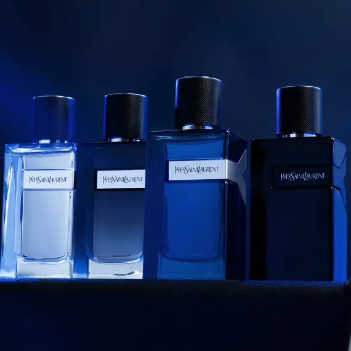 Yves Saint Laurent Parfums Frais>Y Eau de Parfum Intense Spray