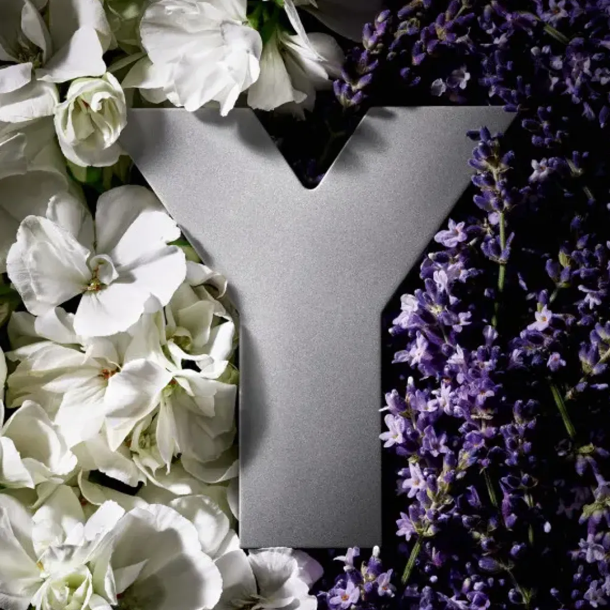 Yves Saint Laurent Parfums Frais>Y Eau de Parfum Intense Spray